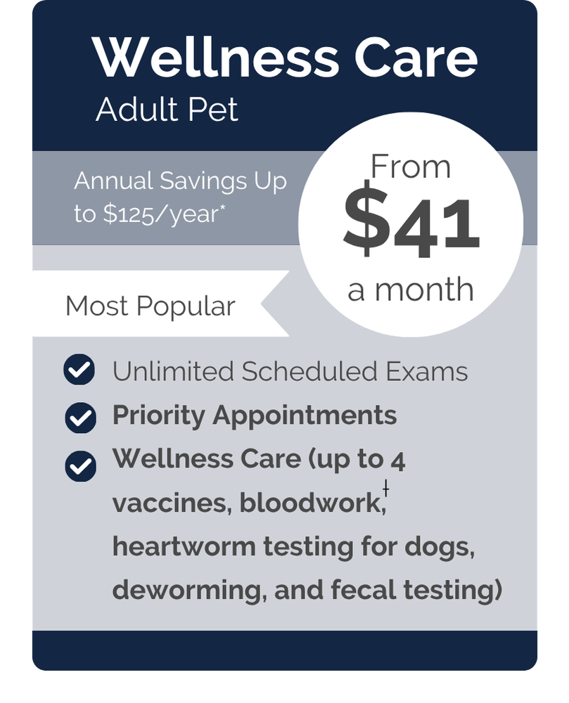 Hill Top VIPet Plan_pricing_Wellness_Modern